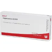 Wala Hippocampus GL D 15 Ampullen 10x1 ml
