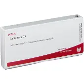 Wala Camphora D 3 Ampullen 10x1 ml