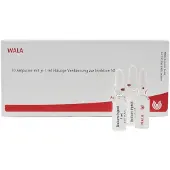 Wala Cutis feti GL D 6 Ampullen 10x1 ml