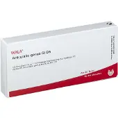 Wala Articulatio genus GL D 5 Ampullen 10x1 ml