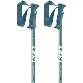 LEKI Wanderstock Eagle