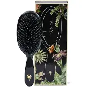 Fan Palm Hair Brush Large Stardust