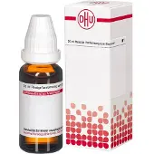 DHU Artemisia Vulgaris Urtinktur 20 ml Flüssigkeit zum Einnehmen
