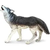 Safari Wolf