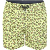 Hackett Badehose Sea Turtles