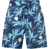 Hurley Cannonball Volley 17´´ Badeshorts Blau S Herren Blau S
