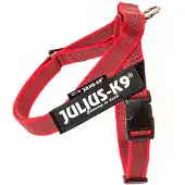 JULIUS K-9 Idc Norwegian Hundegeschirr