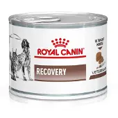 Royal Canin Recovery - 12 x 195 g