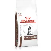 Royal Canin Veterinary Canine Gastrointestinal Puppy 10 kg Futter