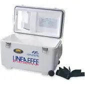LINEAEFFE 48l Steife Tragbare Kühlbox