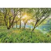 Komar Fototapete "Spring Lake - Größe 368 x 254 cm" bedruckt glatt Wohnzimmer, Schlafzimmer