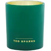 Ted Sparks Duftkerze Demi Moss & Sandalwood