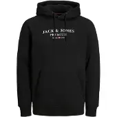 Jack & Jones Kapuzensweatshirt "JPRBLUARCHIE SWEAT HOOD NOOS"