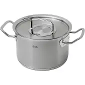 Fissler Profi Collection 2 20 Cm Stieltopf