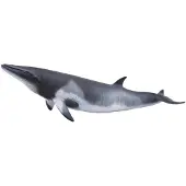 Collecta figur Zwergwal grau 20 x 6 cm