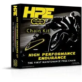 Regina HPE 525 KETTENSATZ SPEED TR. 1200 118/17/44