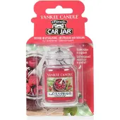 Yankee candle Auto-Düfte Red Raspberry 24 g