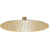 vidaXL Regenbrause Edelstahl 25 cm Rund Golden