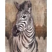 Komar Vliestapete "Digitaldruck Vlies - Zebra - Größe 200 x 250 cm" bedruckt glatt Wohnzimmer, Schlafzimmer