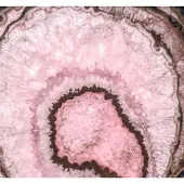 Overig Vliestapete "Digitaldruck Vlies - Geode - Größe 300 x 280 cm" bedruckt glatt Wohnzimmer, Schlafzimmer