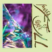 Konkurrent Stewart, Macie:Mouth Full of Glass,CD