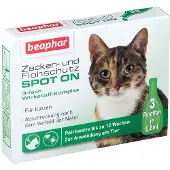 Beaphar Zecken-Und Flohschutz Spot-on f.Katzen 2,4 ml Tropfen