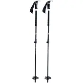 BCA Scepter Carbon Stöcke