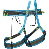 Camp Alp CR Klettergurt grau L
