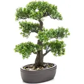 Botanic-Haus Kunstbonsai "Ceder Bonsai"