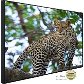Papermoon Infrarotheizung »EcoHeat - Leopard auf dem Baum«, Matt-Effekt - bunt