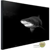 Papermoon Infrarotheizung »EcoHeat - Haifisch Schwarz + Weiss«, Matt-Effekt - bunt