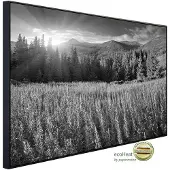 Papermoon Infrarotheizung »EcoHeat - Landschaft Schwarz + Weiss«, Matt-Effekt - bunt