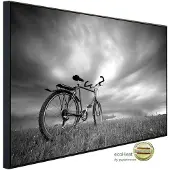 Papermoon Infrarotheizung »EcoHeat - Fahrrad Schwarz + Weiss«, Matt-Effekt - bunt