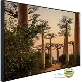 Papermoon Infrarotheizung »EcoHeat - Wald«, Matt-Effekt - bunt