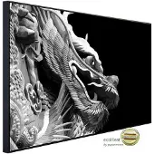 Papermoon Infrarotheizung »EcoHeat - Chinesischer Drache«, Matt-Effekt - bunt