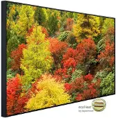 Papermoon Infrarotheizung »EcoHeat - Herbst Wald«, Matt-Effekt - bunt