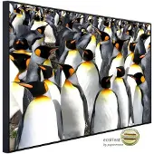 Papermoon Infrarotheizung »EcoHeat - Pinguine «, Matt-Effekt - bunt