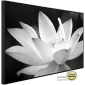 Papermoon Infrarotheizung »EcoHeat - Blume Schwarz + Weiss«, Matt-Effekt - bunt