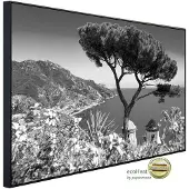 Papermoon Infrarotheizung »EcoHeat - Landschaft schwarz + weiss«, Matt-Effekt - bunt