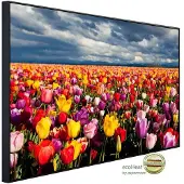 Papermoon Infrarotheizung »EcoHeat - Blumenwiese«, Matt-Effekt - bunt
