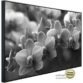 Papermoon Infrarotheizung »EcoHeat - Blumen Schwarz + Weiss«, Matt-Effekt - bunt