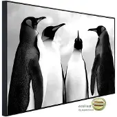 Papermoon Infrarotheizung »EcoHeat - Pinguin Schwarz + Weiss«, Matt-Effekt - bunt
