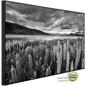 Papermoon Infrarotheizung »EcoHeat - Landschaft Schwarz + Weiss«, Matt-Effekt - bunt