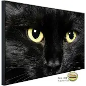 Papermoon Infrarotheizung »EcoHeat - Katze«, Matt-Effekt - bunt