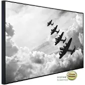 Papermoon Infrarotheizung »EcoHeat - Flugzeug Schwarz + Weiss«, Matt-Effekt - bunt