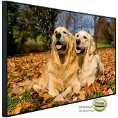 Papermoon Infrarotheizung »EcoHeat - Golden Retriever«, Matt-Effekt - bunt