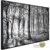 Papermoon Infrarotheizung »EcoHeat - Wald Schwarz + Weiss«, Matt-Effekt - bunt