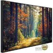 Papermoon Infrarotheizung »EcoHeat - Herbstwald Sonnenstrahlen«, Matt-Effekt - bunt