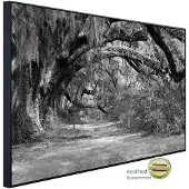 Papermoon Infrarotheizung »EcoHeat - Wald Schwarz + Weiss«, Matt-Effekt - bunt