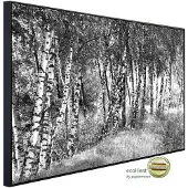 Papermoon Infrarotheizung »EcoHeat - Birkenwald Schwarz + Weiss«, Matt-Effekt - bunt